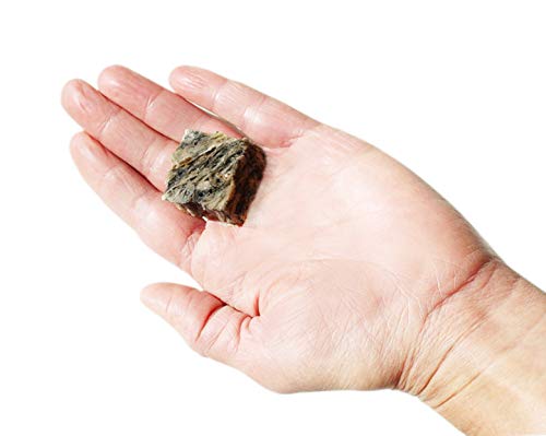 PLATO Hundur's  Crunch Jerky Minis 10oz, Natural (859554001397) Cod Minis 10 ounces