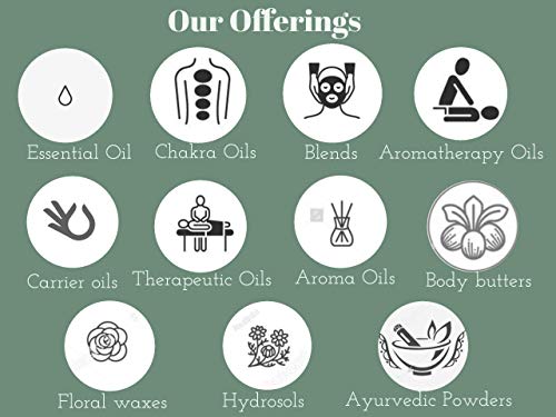 Deve Herbes Pure Onion Seed Oil (Allium cepa) Natural Therapeutic Grade Cold Pressed 30ml (1 oz) For Hair