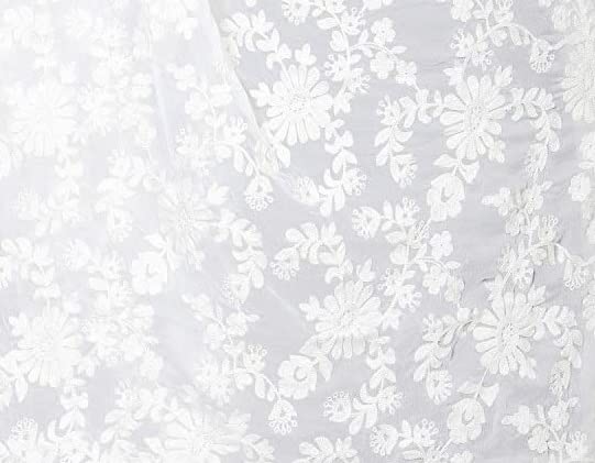 AKSHAR LLC Women's  Embroidered Chiffon Dupatta