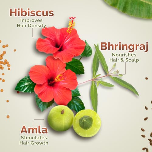 Mamaearth Kerala Thaali Hair Oil with Hibiscus, Bhringraj, Methi Dana & Amla for Thick & Long Hair - 150 ml | Stimulates Hair Growth | Nourishing Thali | 100% Natural Herbs | 12 Potent Herbs