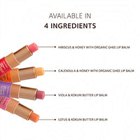SoulTree Ayurvedic Lip Balm - Calendula & Honey with Organic Ghee | Heals and Hydrates Lips - 3.5gm