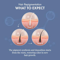 ThriveCo Anti-Grey Hair Prime Serum | Arcolys + Biotin + Black Tea Extract | Light-Weight, Non-Sticky & Odourless | For Men and Women | 50 Ml (Pack of 5)