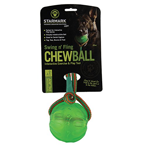 Starmark Everlasting Fun Ball on a Rope Dog Toy,Greens,Medium/Large