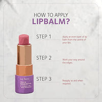 SoulTree Ayurvedic Lip Balm - Calendula & Honey with Organic Ghee | Heals and Hydrates Lips - 3.5gm