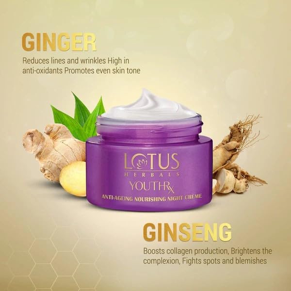 Lotus Herbals YouthRx Anti Ageing Transforming Cream_50g + Night Cream_50g + Face Serum_30g (Set Of 3)