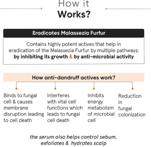 Minimalist Anti-Dandruff Hair Serum for Scalp | Pre Shampoo Treatment with CPH Complex & Oligopeptide 0.8% | With Elestab Advanced Anti Dandruff Molecule | For Women & Men | 50ml