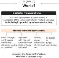 Minimalist Anti-Dandruff Hair Serum for Scalp | Pre Shampoo Treatment with CPH Complex & Oligopeptide 0.8% | With Elestab Advanced Anti Dandruff Molecule | For Women & Men | 50ml