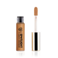 PAC Spotlight Liquid Concealer - 13 (Warm Honey)