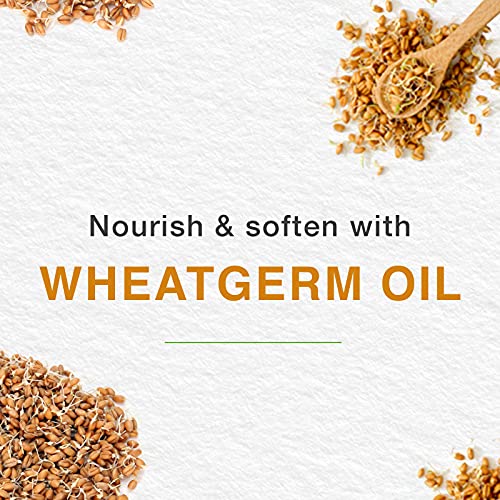 Himalaya Lip Balm, 10 Grams, 1 Count, Blue