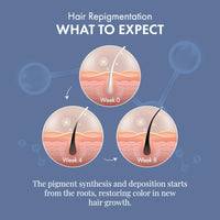 ThriveCo Anti-Grey Hair Prime Serum | Reverses & Limits Hair Greying | Arcolys + Biotin + Black Tea Extract | Light-Weight, Non-Sticky & Odourless | For Men and Women | 30 Ml