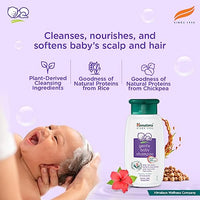 Himalaya Gentle Baby Shampoo 100ml | No Tears formula | Cleanses, softens and nourishes baby's  hair