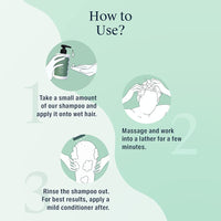 Arata Natural Hydrating Hair Shampoo (300ML) for Soft, Smooth Hair | Paraben and Sulphate Free for Damage Repair & Moisturization | Reduces Frizz, Split Ends with Ginkgo, Ginger & Indian Gooseberry