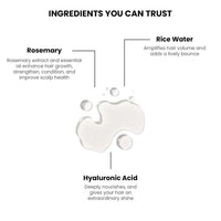 ThriveCo Rosemary Water Hair Spray | with 100% Natural Rosemary Extract, Rice Water & Hyaluronic Acid | Hair Growth, Conditioning & Shine | Men & Women, 100ml Each