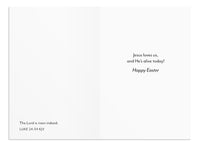 DaySpring - Easter Blessings - 8 Design Assortment with Scripture - 24 Easter Boxed Cards and Envelopes (U1617)