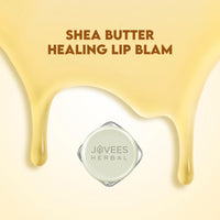 JOVEES Herbal Shea Butter Healing Lip Balm | 24 Hour Hydration | Heals Dry And Flaky Lips | Gives Soft And Supple Lips 8G, Off White