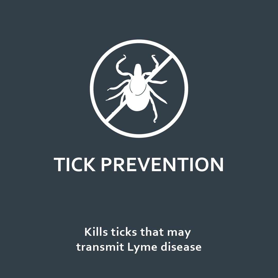 Fiproguard Flea & Tick Squeeze-On for Dogs Upto 22 lbs, 6-PACK Up to 22-Pound 6-Month