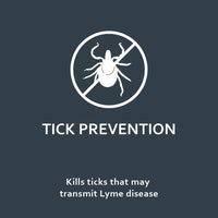 Fiproguard Flea & Tick Squeeze-On for Dogs Upto 22 lbs, 6-PACK Up to 22-Pound 6-Month