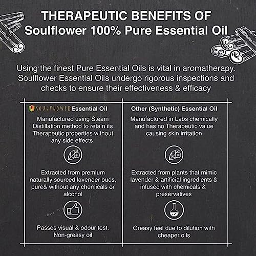 Soulflower Cinnamon Essential Oil for Skin Care, Hair Care, Hydrating | 100% Pure, Natural, Undiluted Cinnamon Essential Oil 15ml