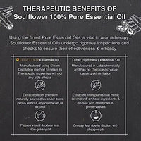 Soulflower Cinnamon Essential Oil for Skin Care, Hair Care, Hydrating | 100% Pure, Natural, Undiluted Cinnamon Essential Oil 15ml