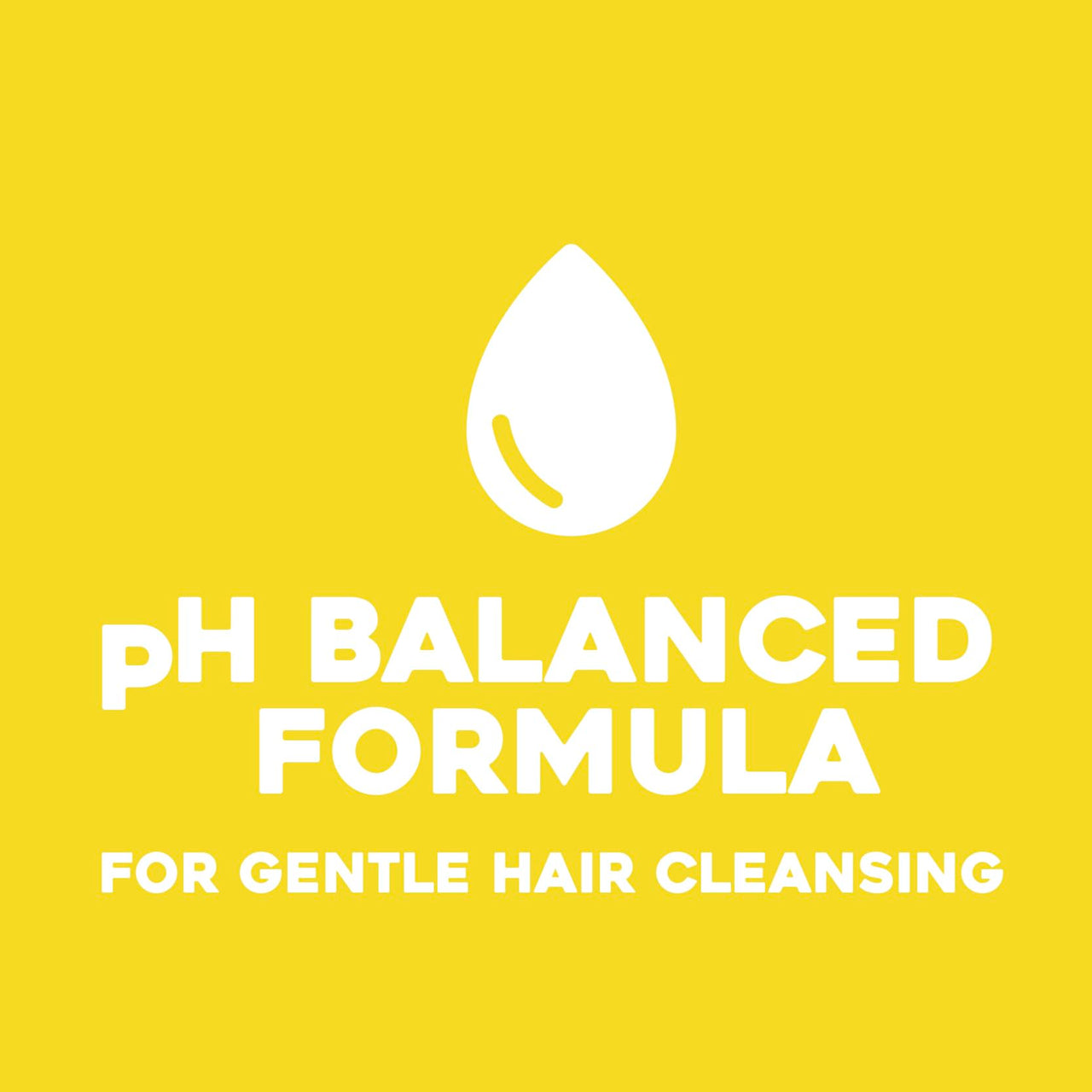 OGX Kukui Oil Shampoo Hydrate Plus Defrizz 13oz (385ml)