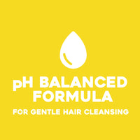 OGX Kukui Oil Shampoo Hydrate Plus Defrizz 13oz (385ml)