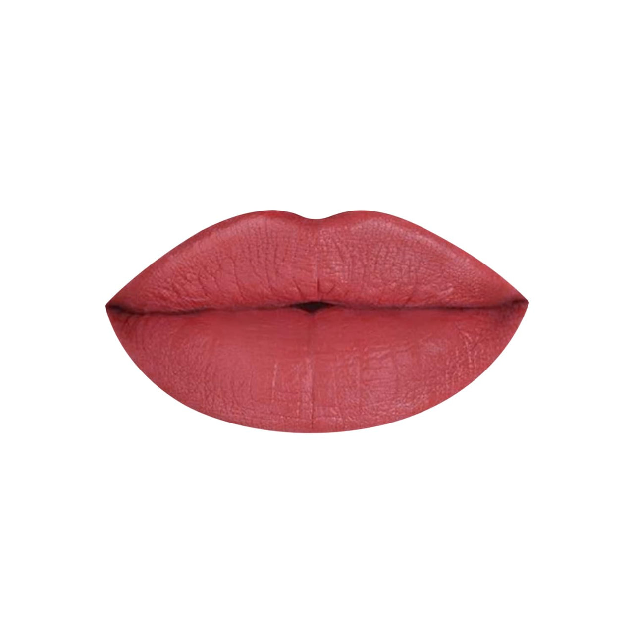 PAC Matte Addict Lipstic | 5.5 ml (Troublesome)