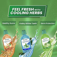 Himalaya Active Fresh Saunf Mouthwash 215ml -No Alcohol- Removes 99.9% Germs,12hr Germ Protection (Pack of 2)