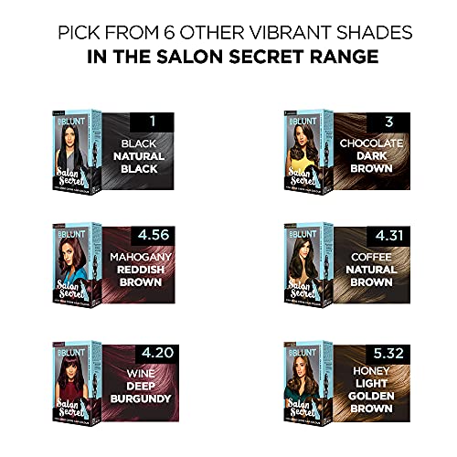 Bblunt Salon Secret High Shine Crème Hair Colour, 100g (Cherry Red 6.62)