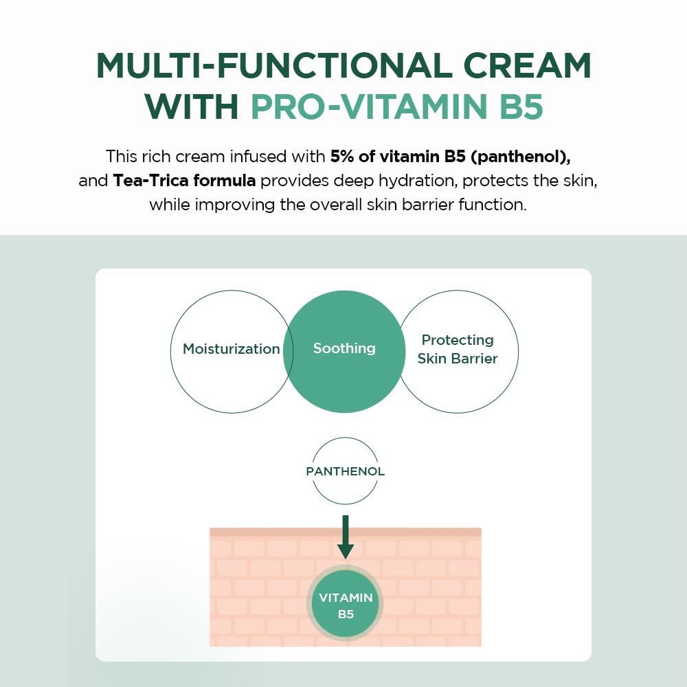 SKIN1004 Madagascar Centella Tea-Trica B5 Cream | Made with pure Centella | 2.53 fl.oz | 75ml