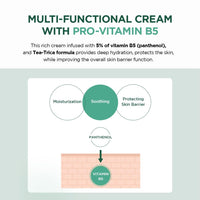 SKIN1004 Madagascar Centella Tea-Trica B5 Cream | Made with pure Centella | 2.53 fl.oz | 75ml