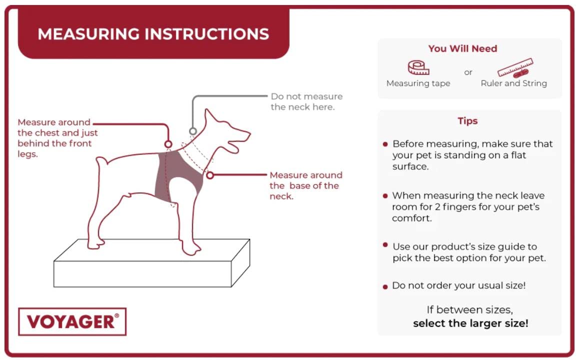 Voyager Step-in Air All Weather Mesh Harness and Reflective Dog 5 ft Leash Combo with Neoprene Handle, for Small, Medium and Large Breed Puppies by Best Pet Supplies - Set (Blue), S