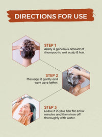 Oshea Herbals Heenashine Conditioning Shampoo | Controls Dryness & Makes Hair Stronger with Deep Cleansing | Enriched with Henna & Bhringraj 500 ml