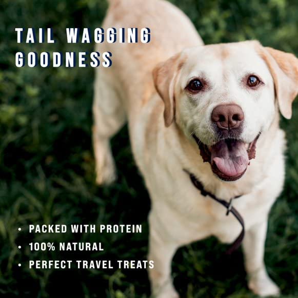 Stewart Freeze Dried Dog Treats, Chicken Liver, Grain Free & Gluten Free, 3 Ounce Resealable Tub, Single Ingredient, Made in USA, Dog Training Treats