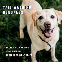 Stewart Freeze Dried Dog Treats, Chicken Liver, Grain Free & Gluten Free, 3 Ounce Resealable Tub, Single Ingredient, Made in USA, Dog Training Treats