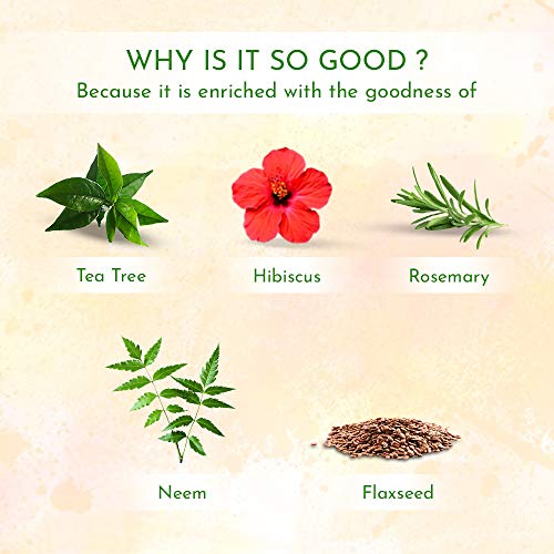 moha: Anti-Dandruff Hair Care Kit Which Includes Herbal Anti-Dandruff Shampoo (100 Ml) + Anti-Dandruff Hair Oil (200 Ml) + Herbal Hair Serum (100 Ml) For Healthy Hair | Unisex Product