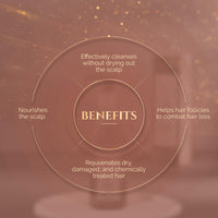 Ashpveda Ayurvedic Hair Wash Shampoo With Japapatti & Brahmi for Repairing Damaged and Dry Hair (30 ml)