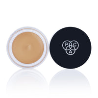 PAC Studio HD Concealer (Chopsticks)