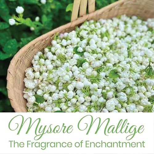 Raissa Bath Soap, 125g (Pack of 3) Nawabi Gulaab, Lavender Love and Mysore Mallige | Alcohol-Free Fragrance | No Harsh Chemicals -Jasmine, Rose and Lavender Fragrances