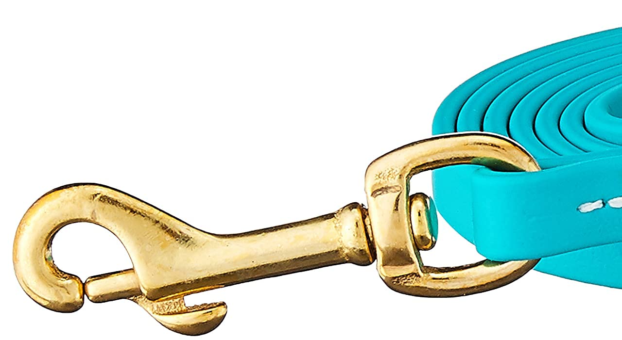 J&J Dog Supplies Biothane Dog Leash, 1/2" Wide by 6' Long, Teal