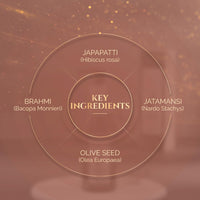 Ashpveda Ayurvedic Hair Wash Shampoo With Japapatti & Brahmi for Repairing Damaged and Dry Hair (30 ml)