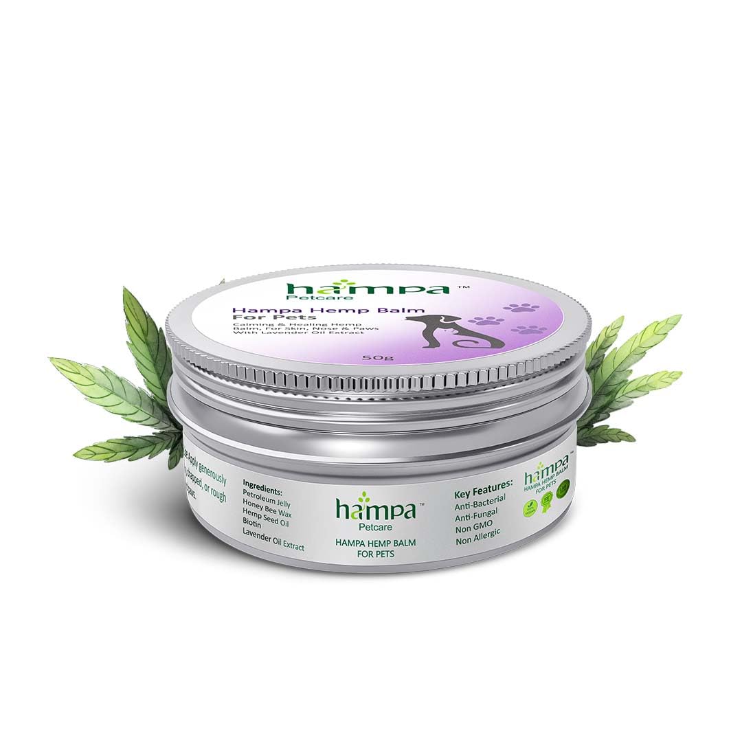 Hampa Hemp Balm for Pets 50g | Nourishing and Moisturizing Balm for Dogs & Cats | Soothes Dry, Cracked Skin, Paws, & Nose | Natural Ingredients with Hemp Seed Oil, Lavender Oil & Biotin