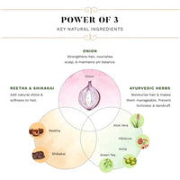 SESA Onion Anti-Hair Fall Combo for Hair Care| Onion Oil - 200 ml & Onion Shampoo - 300 ml