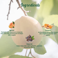 Biotique Travel Kit&Biotique Apricot Refreshing Body Wash, 200ml