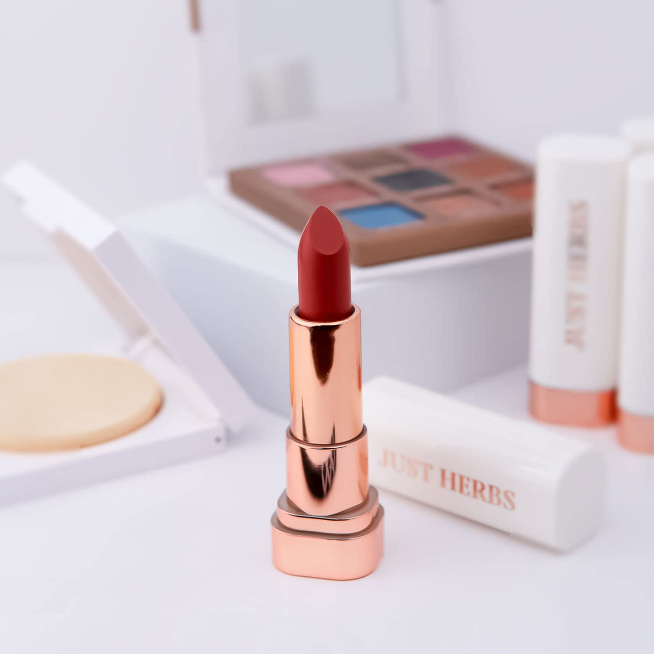 Just Herbs Matte Lipstick, Hydrating Nourishing and Liquid Waterproof Long Stay Relaxed Matte Bullet Lipsticks for Women 4.2 gm (Dirty Rose)