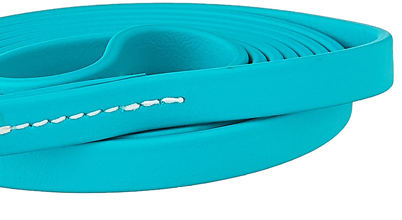 J&J Dog Supplies Biothane Dog Leash, 1/2" Wide by 6' Long, Teal