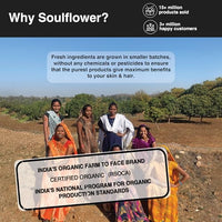 Soulflower Rosemary Essential Oil for Hair Growth, Hair Fall Control & Nourishment, Skin Care | 100% Pure, Natural, Undiluted Clinically Tested & Ecocert Organic Certified | 15ml each (Pack of 3)