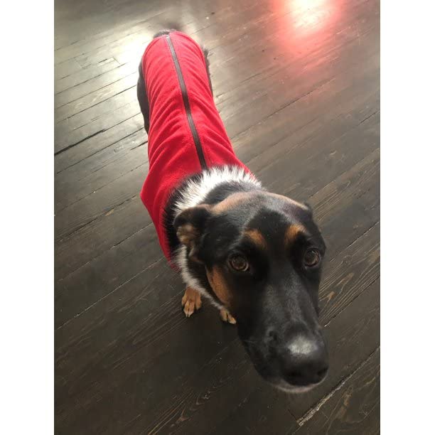 Gooby Zip Up Fleece Dog Sweater - Red, 2X-Large - Warm Pullover Fleece Step-in Dog Jacket with Dual D Ring Leash - Winter Small Dog Sweater - Dog Clothes for Small Dogs Boy and Medium Dogs