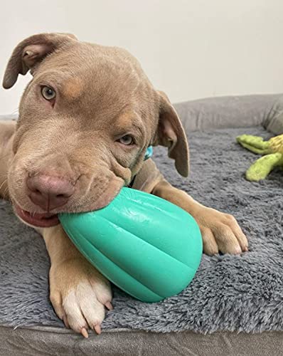 Chew King Premium Treat Dog Toy, XL, Extremely Durable Natural Rubber Toy, Pack of 2, All Breed Sizes X-Large - 2 pack