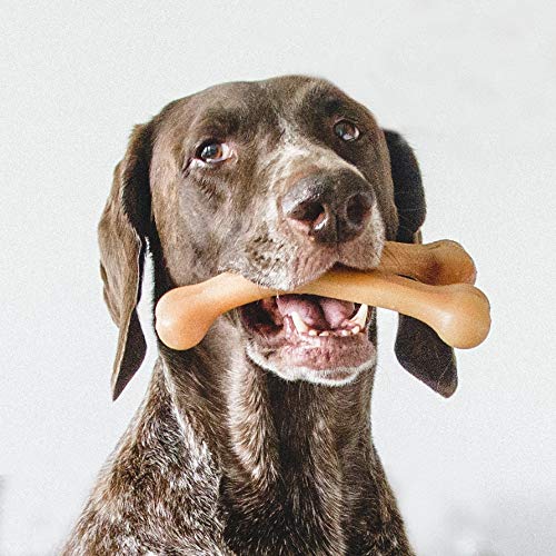 Benebone Wishbone Durable Dog Chew Toy for Aggressive Chewers, Real Chicken, Made in USA, Large