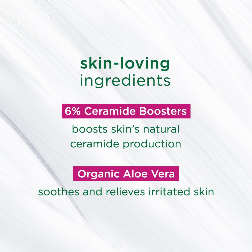 simple Bizzico Active Skin Barrier Care Soothing Water Crème 40G | with 15% Skin Conditioners & Organic Aloe Vera |Soothes Skin, Supports Skin Barrier Health